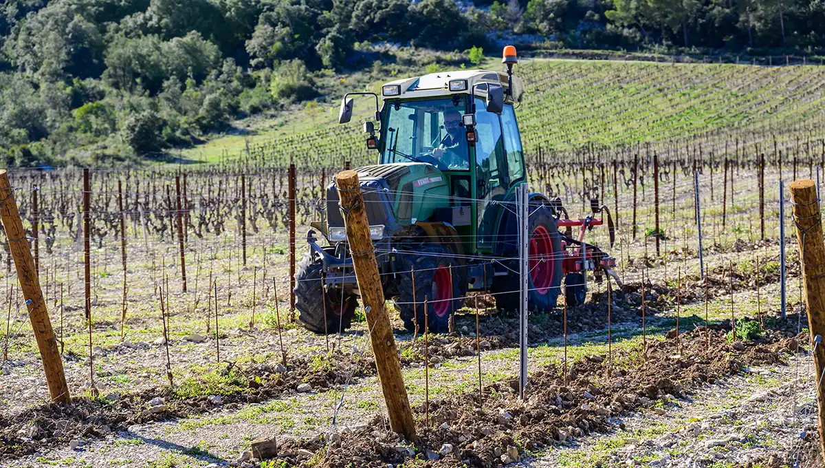 Fabien Reboul vigneron en Pic saint Loup