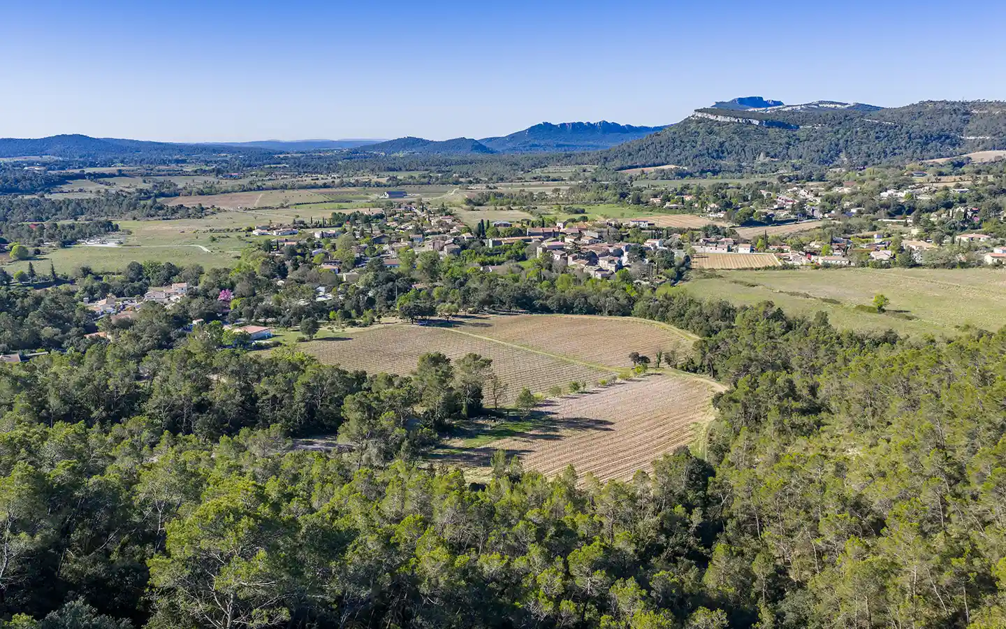 Puech de Dolgues - Chateau de Valflaunes