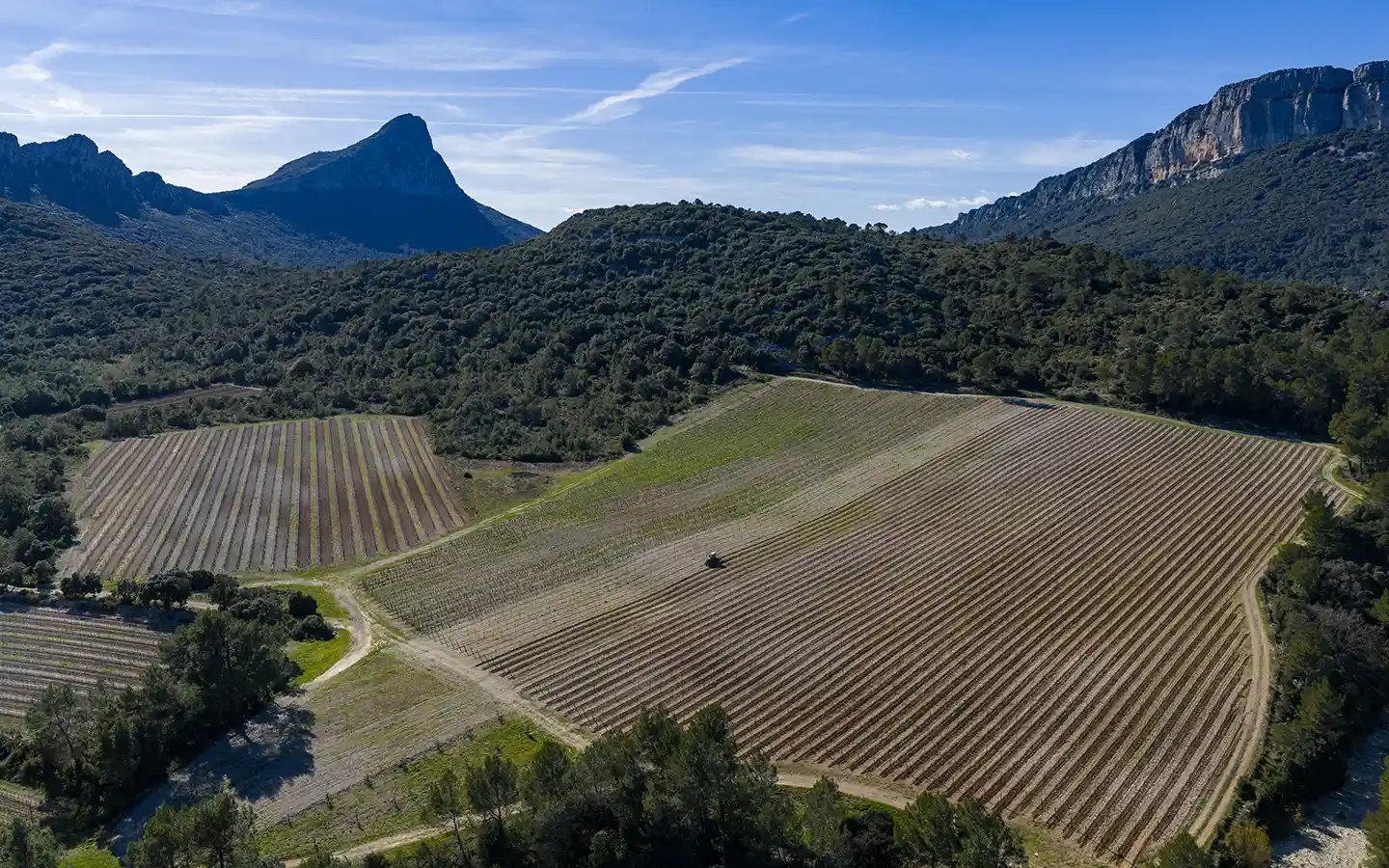 Roc du Verdier - Chateau de Valflaunes